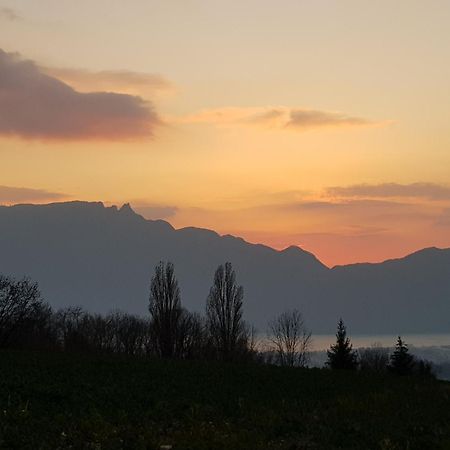 Appartement Independant Dans Maison Au Calme Pugny-Chatenod Zewnętrze zdjęcie